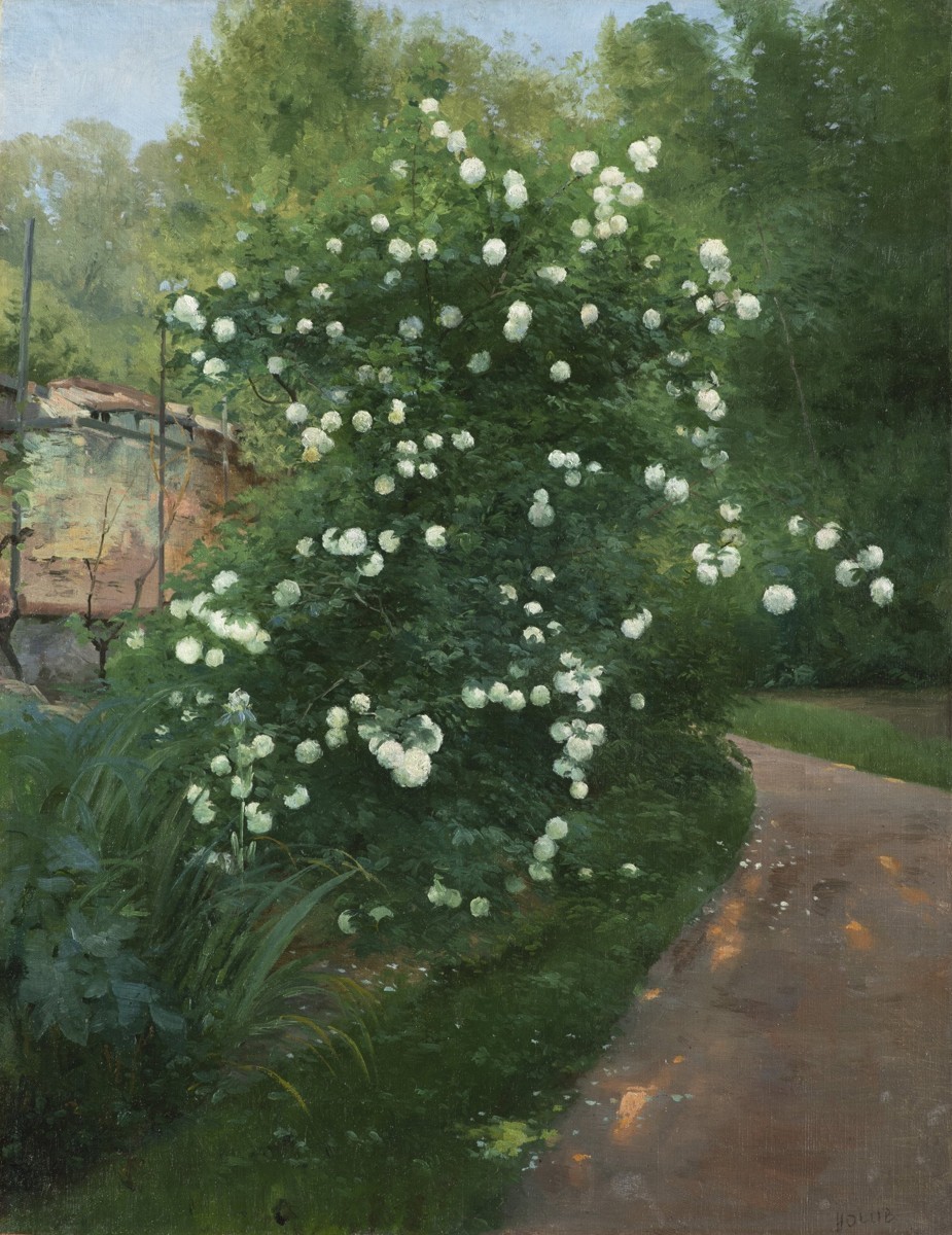 JOSEF HOLUB 1896 - 1954 - RŮŽOVÝ KEŘ