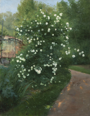 JOSEF HOLUB 1896 - 1954 - RŮŽOVÝ KEŘ
