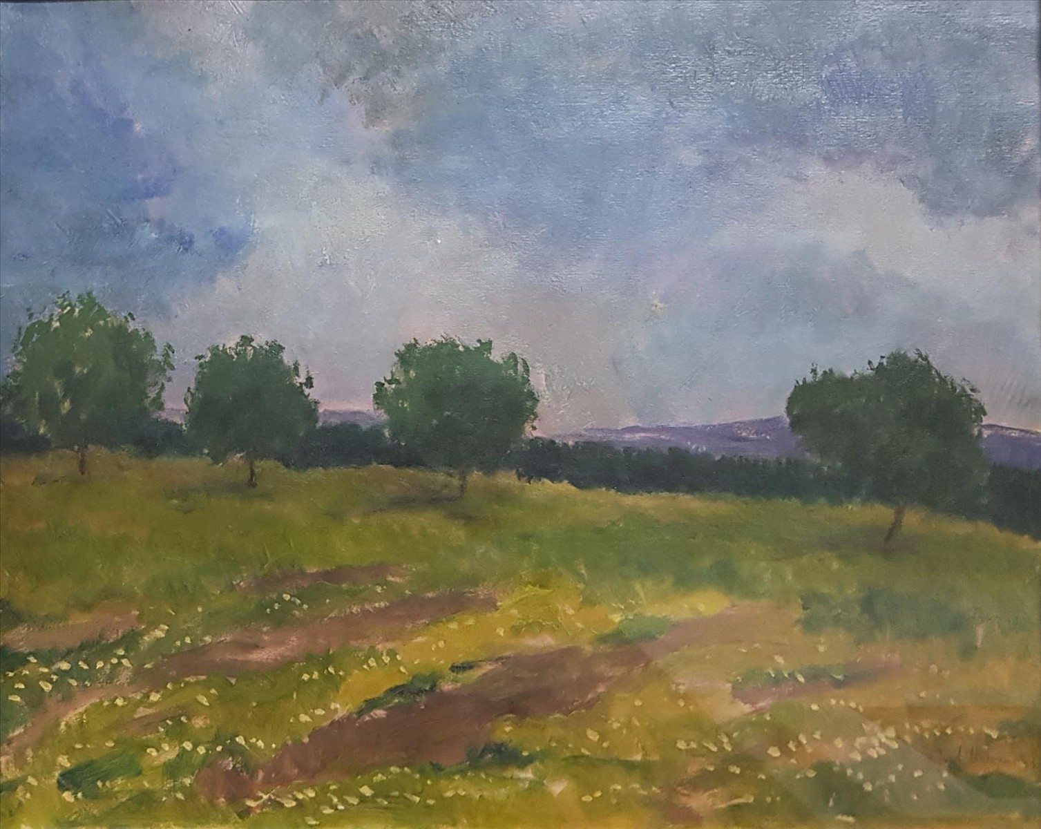 Macoun Gustav - Letní louka
