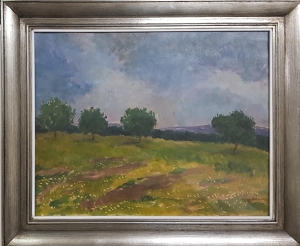 Macoun Gustav - Letní louka