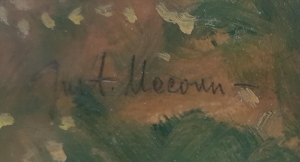 Macoun Gustav - Letní louka