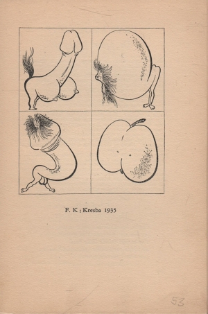 Erotická revue, třetí ročník