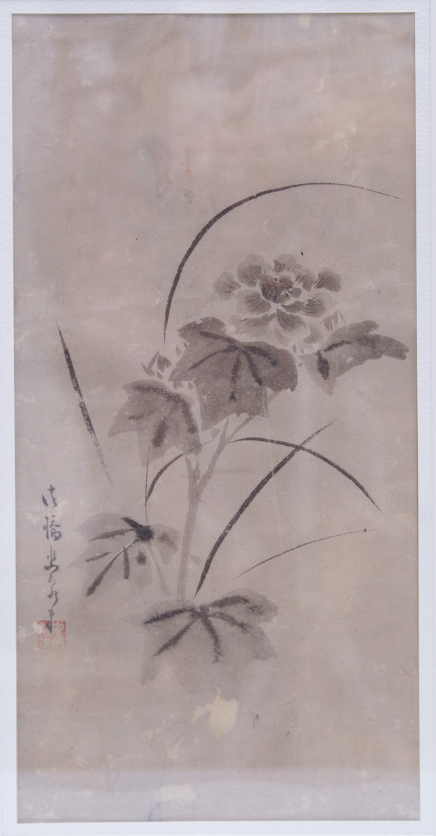 Tsuruzawa Tanzan ( 1655-1729) : Tušová skica květiny, zač. 18. stol.