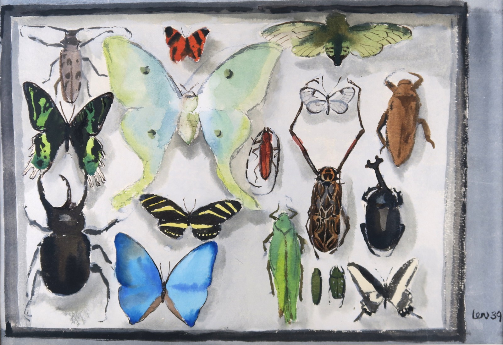 Lev Šimák - Sbírka motýlů