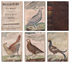 Georges Louis Leclerc Buffon de - Naturgeschichte der Vogel