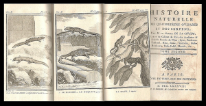 Georges Luis Leclerc de Buffon - Histoire Naturelle des Quadrupèdes Ovipares et des Serpens. Tom. II. Quadrupedes