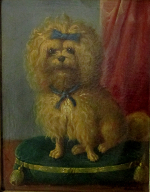 Sperlich Sofie