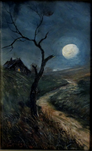 Ženíšek Bedřich