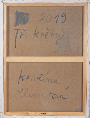 Karolína Klimešová