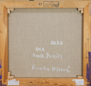 Veronika Holcová (1973) - RNA Vznik života