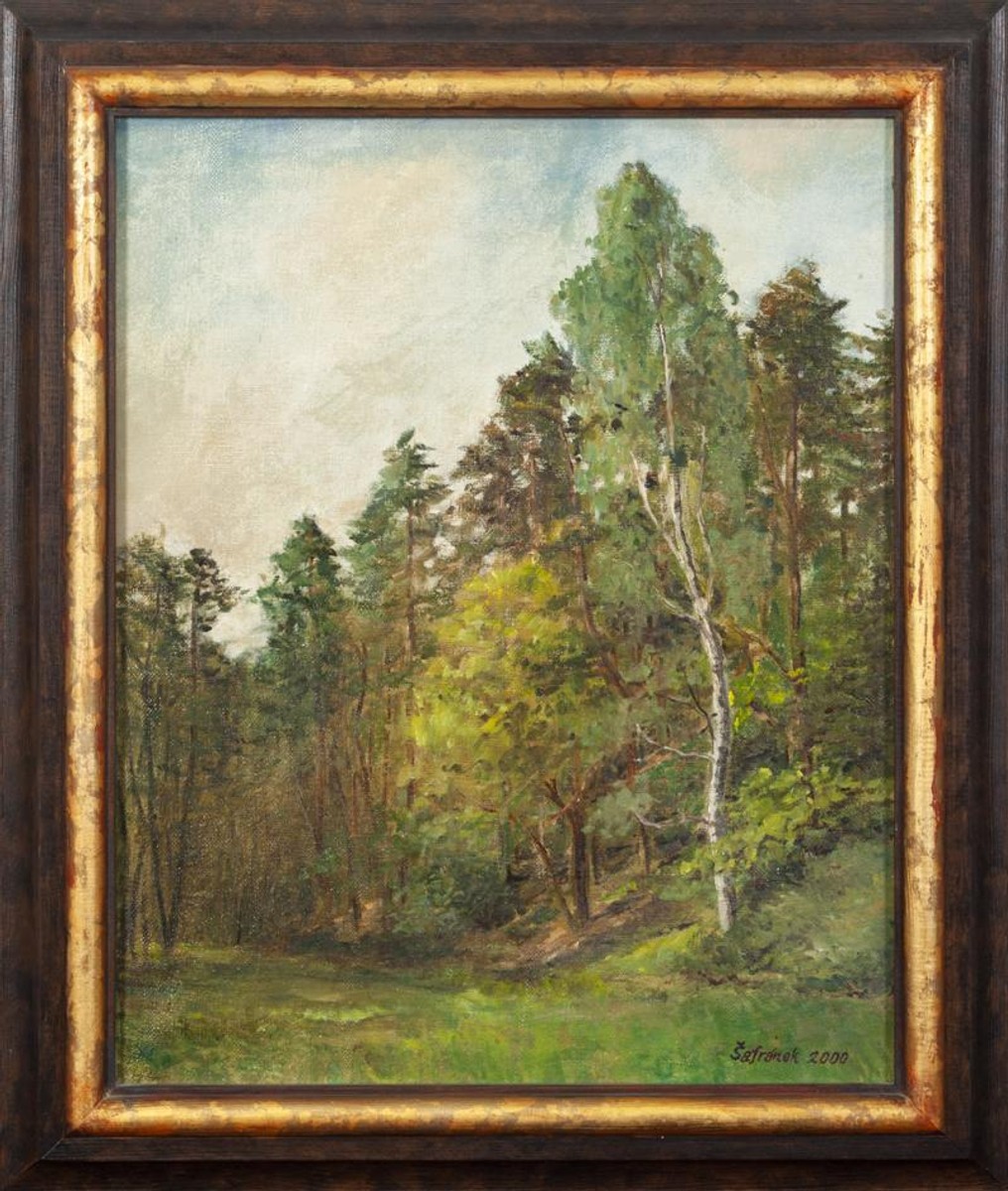 Šafránek Pavel - Les u Pňovic