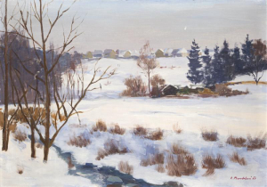 Mandelová Olga - Zimní nálada
