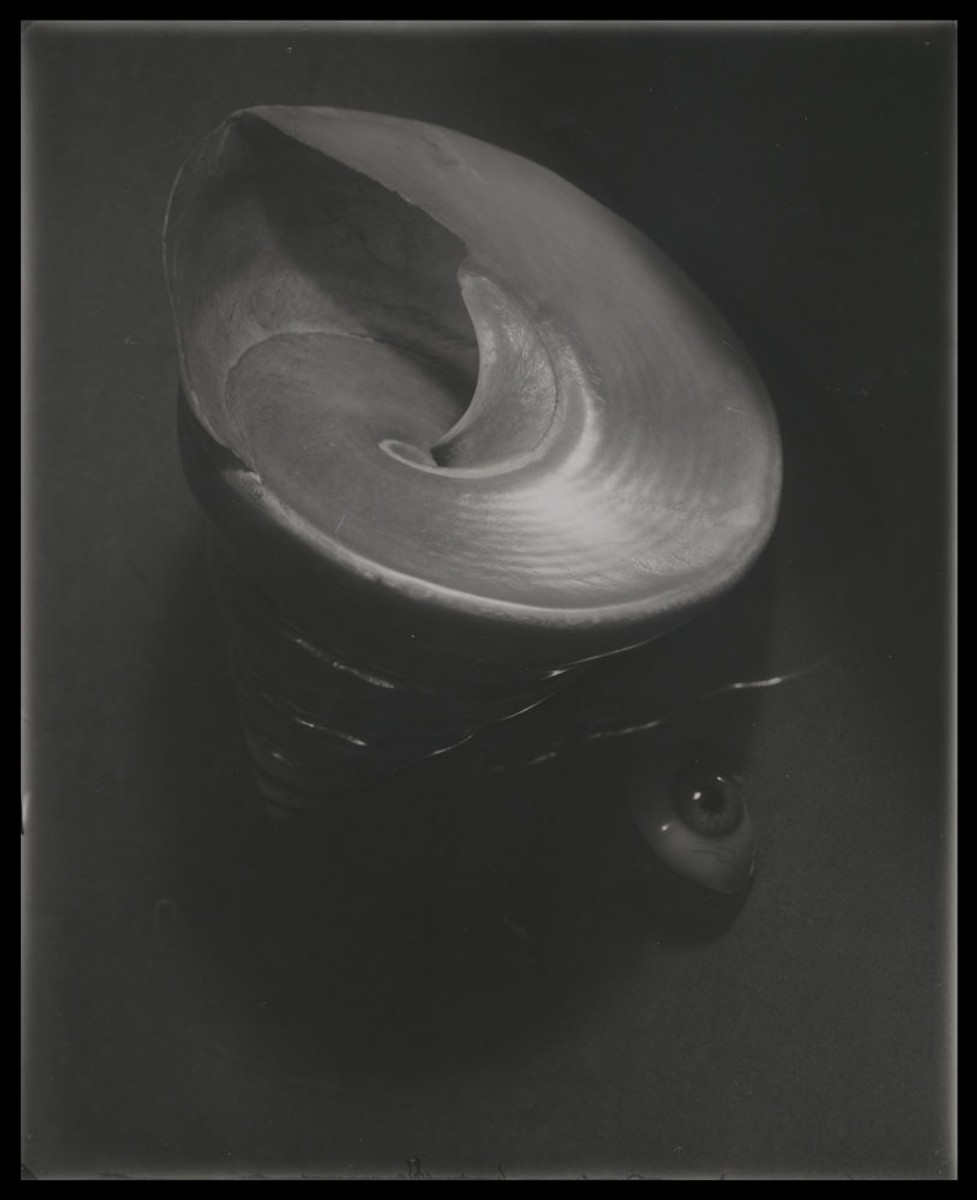 Sudek Josef - Zátiší s lasturou