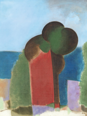 Karel Vaca