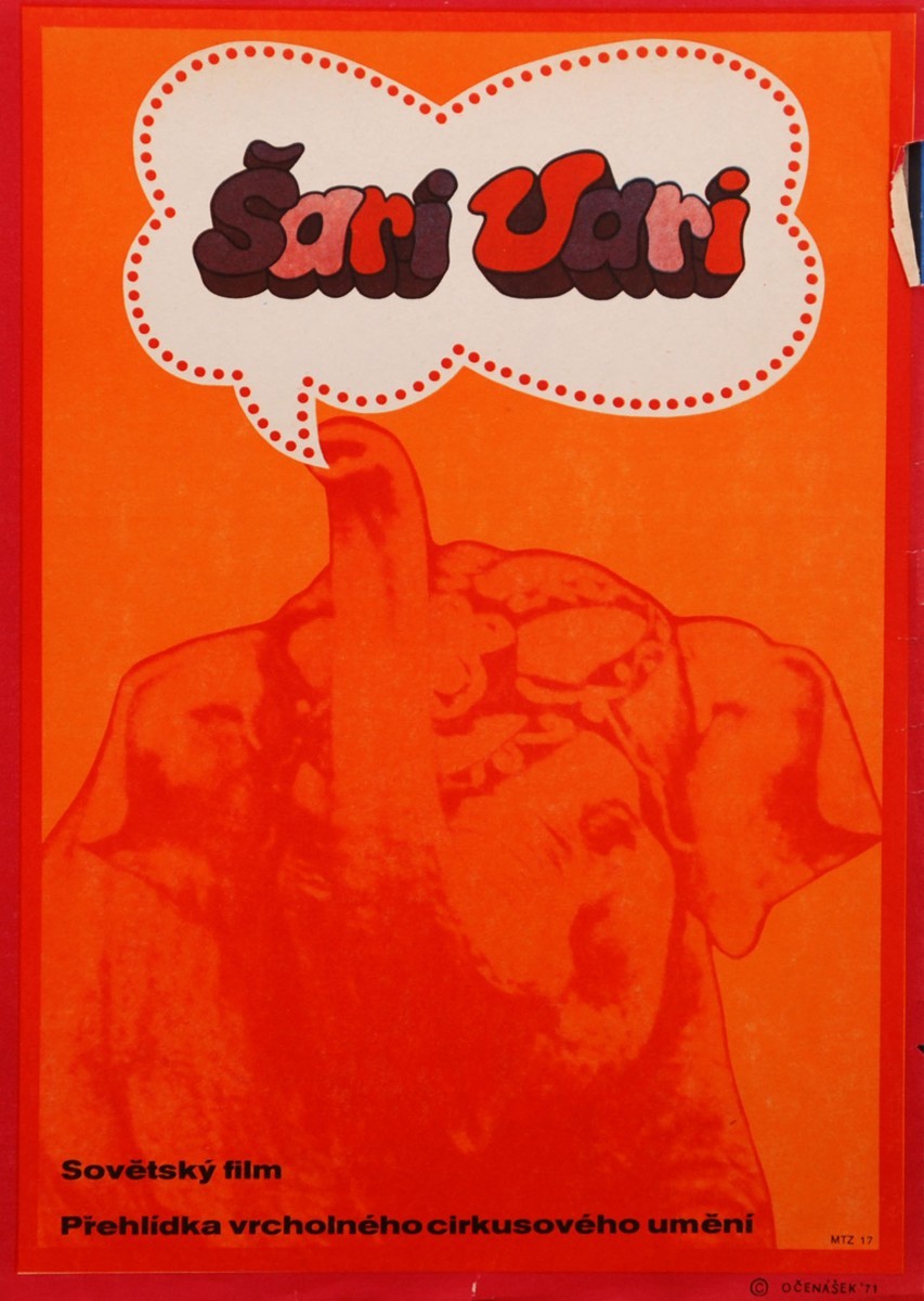 Radek Očenášek - Šari Vari