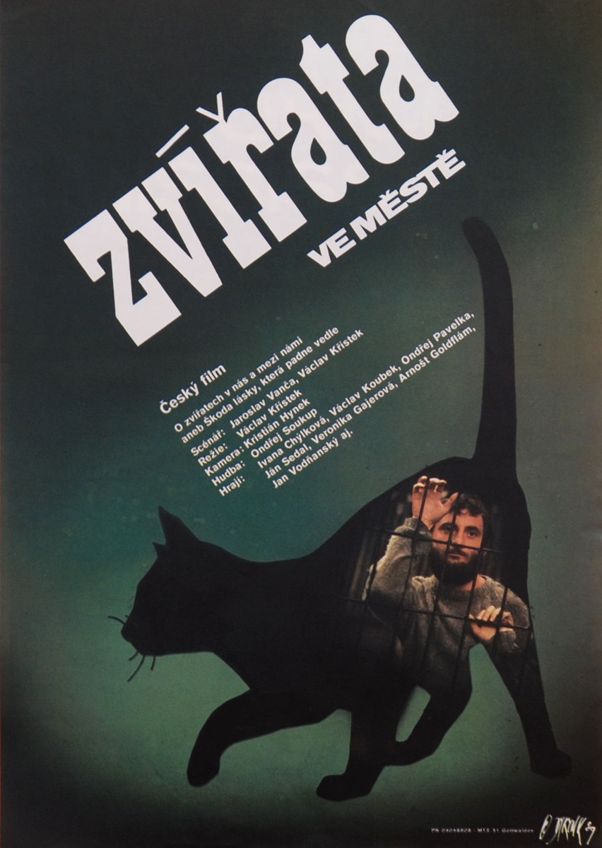 Martin Dyrynk - Zvířata ve městě