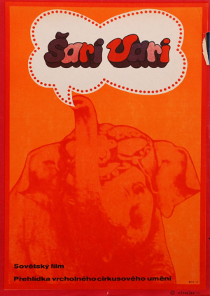 Radek Očenášek - Šari Vari