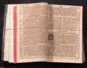 Bible Svatováclavská