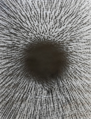 Rudolf Sikora - Černá díra XXI.