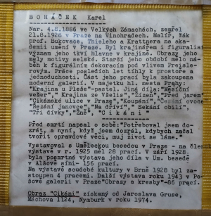 Karel Boháček - Cikáni