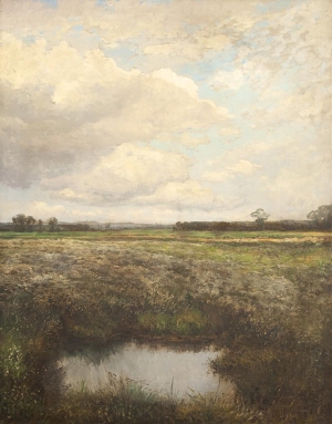Engelmüller Ferdinand - Širá rovina