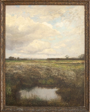 Engelmüller Ferdinand - Širá rovina
