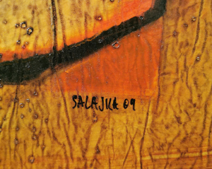 Salajka Jiří