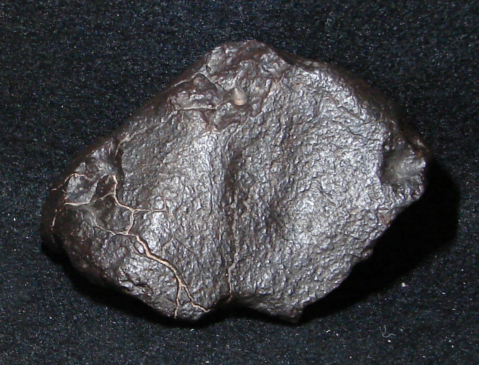 Meteorit NWA X