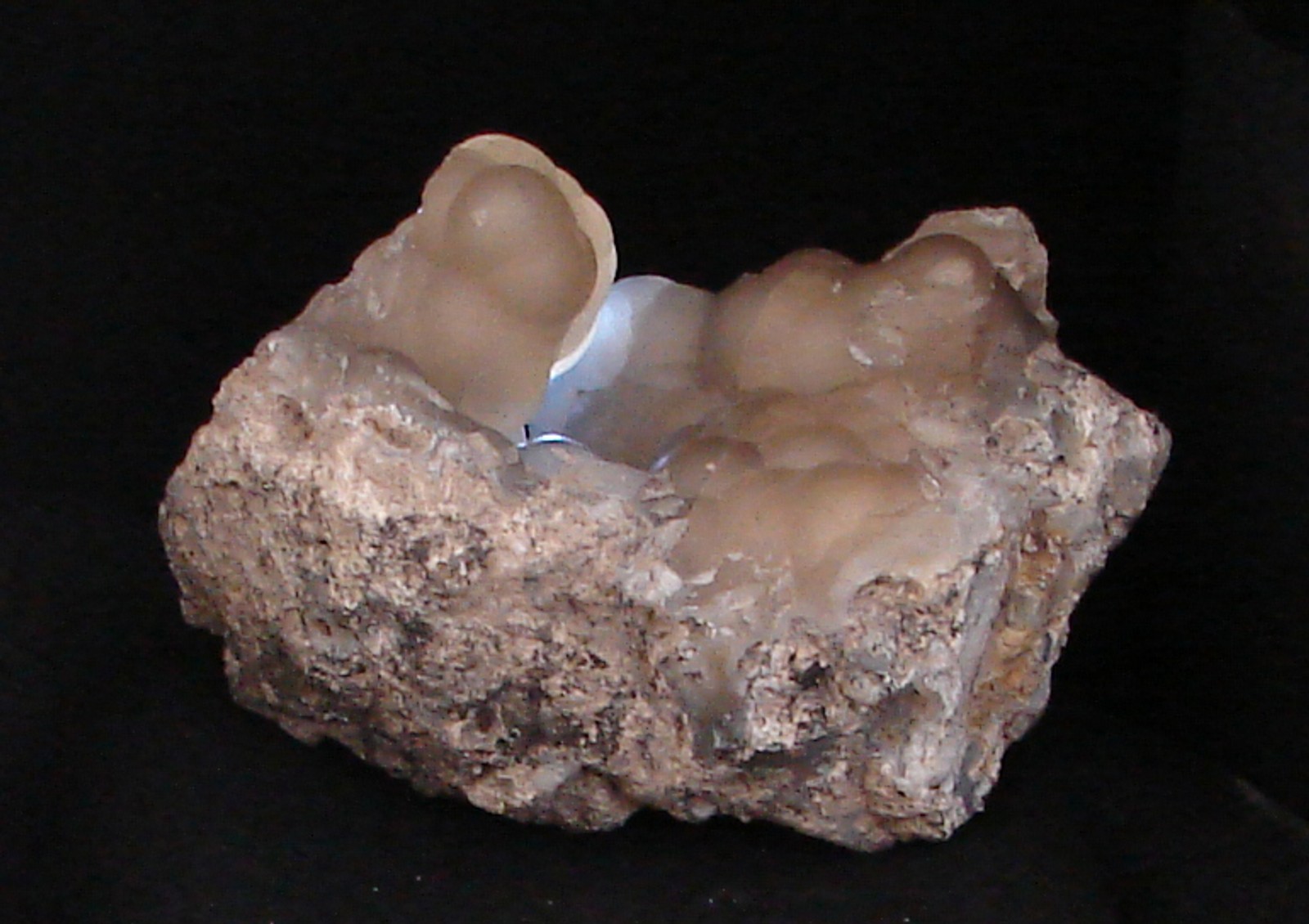 Chalcedon, Byšta