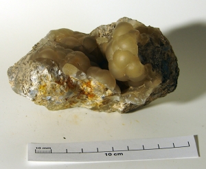 Chalcedon, Byšta
