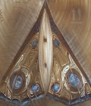 Vlna Ladislav - Arrow Wings - Inachis IO III
