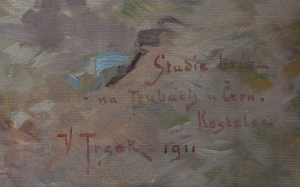 Vilém Trsek (1862 - 1937)
