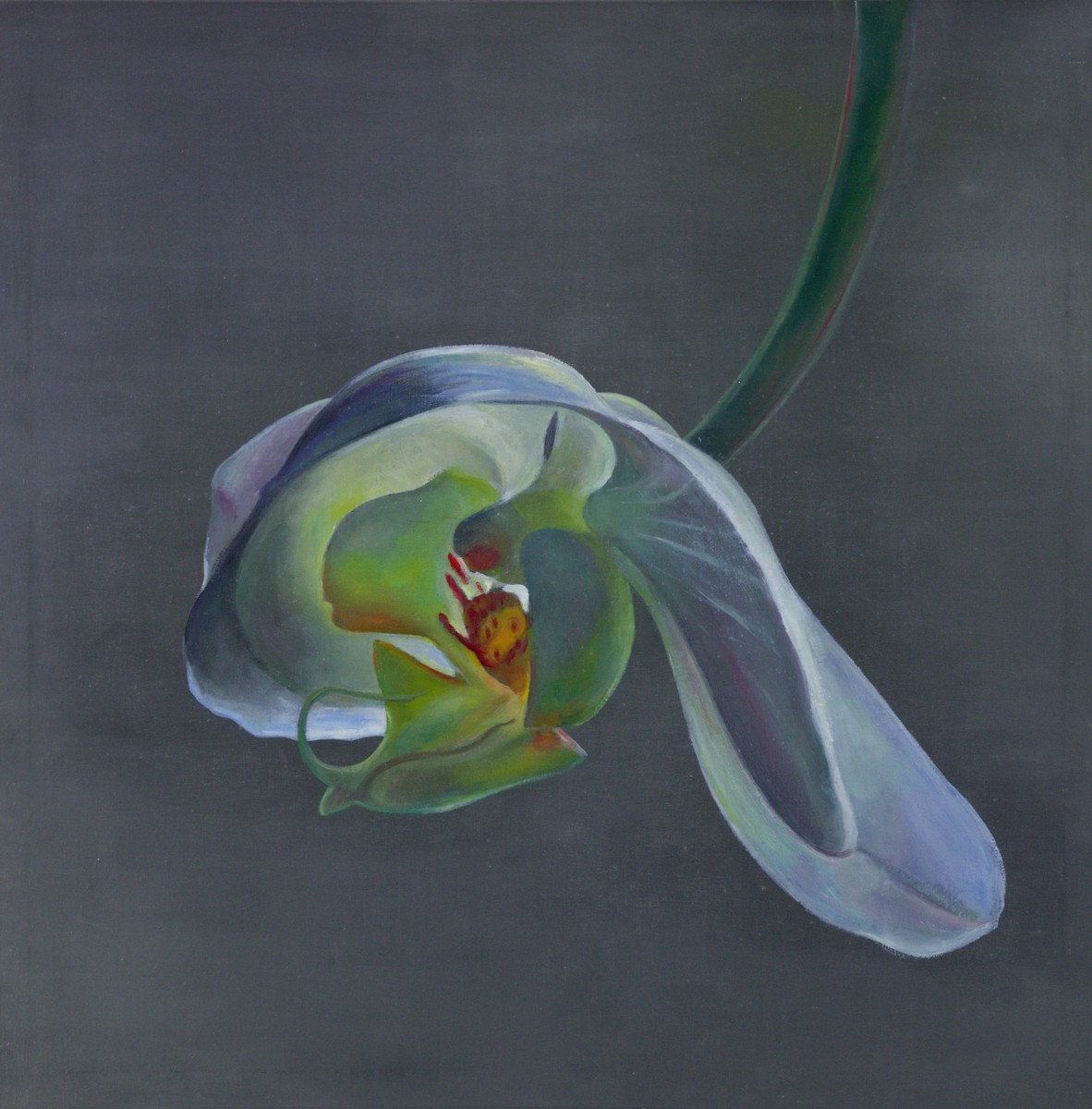 Nikl Petr (* 1960) - Orchidej
