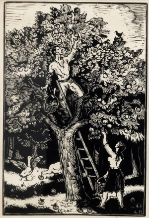 Majer Antonín (1882-1963)
