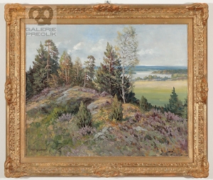 Gustav Porš – Vřesoviště