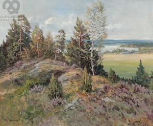 Gustav Porš – Vřesoviště