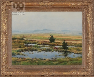 Josef Jambor – Tůňka u Chlumětína v mlze