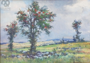 Josef Jambor – Jeřabiny
