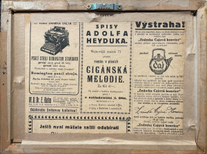 Ze života hmyzu - Sekora Ondřej