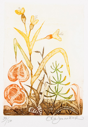 Janeček Ota (1919-1996)