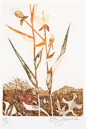 Janeček Ota (1919-1996)