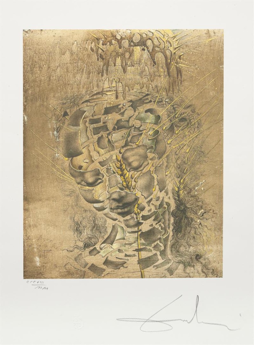 Dalí Salvador - Zrození