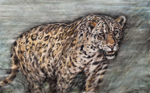 Ladislav Kuklík - Jaguár