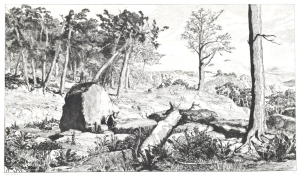 KLINGER Max (1857-1920): Krajina.