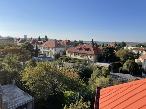 Vila na Hanspaulce, Pernikářce