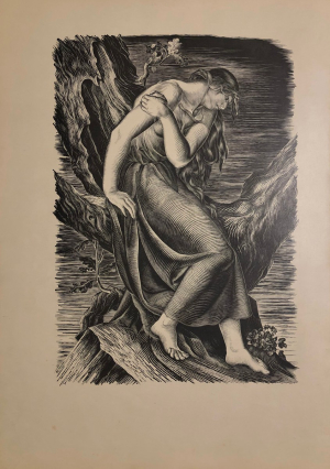 Máj / báseň od Karla Hynka Máchy; dřevoryty Karel Svolinský (rozměr 490 x 695 mm)