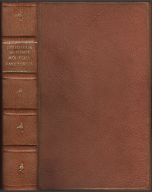 Můj Flos Sanctorum / José Severiano de Rezende