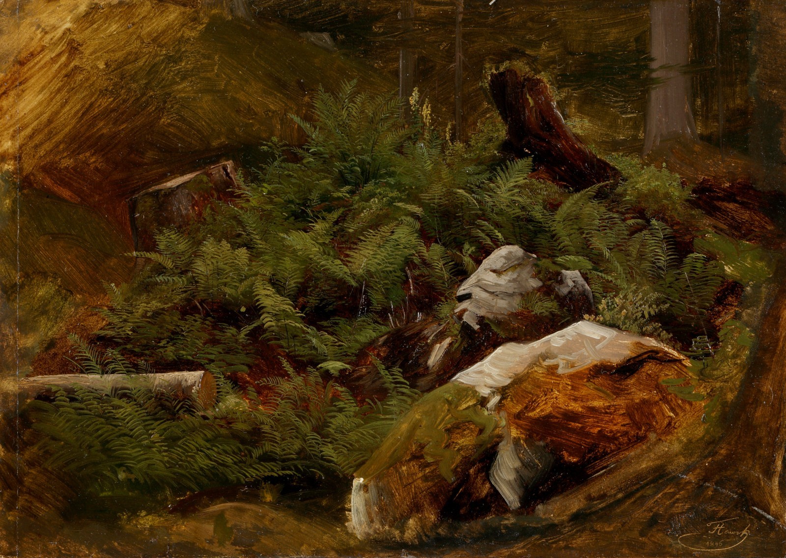 Havránek (Hawranek) Bedřich