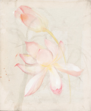 Anna Ruth