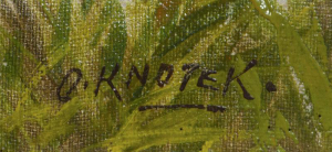 Knotek O - Chalupy u rybníka